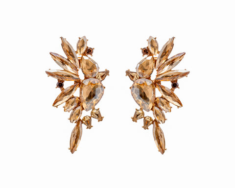 Golden Glow Earrings