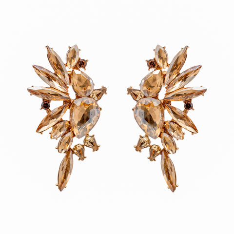 Golden Glow Earrings